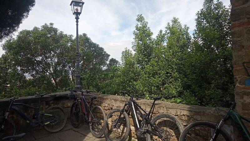 Florence: Country Ebike Tour + Wine Tasting in Organic Farm - Organic Wine Tasting Experience