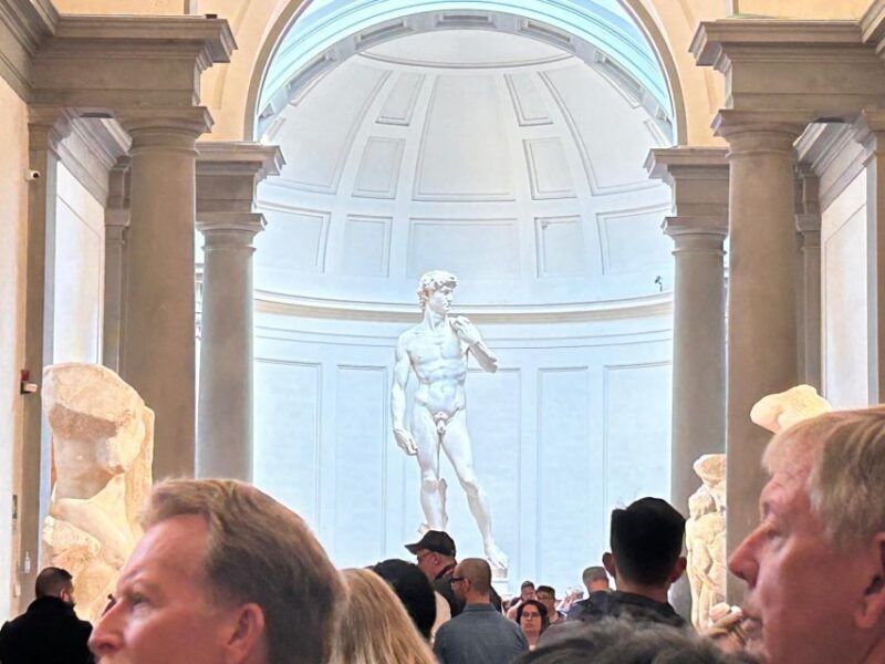 Florence: Davids Accademia Timed Ticket With Audio APP - Access and Amenities for Visitors