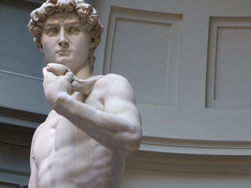Florence: Fast-track Accademia Gallery Guided Tour - Accessibility Options
