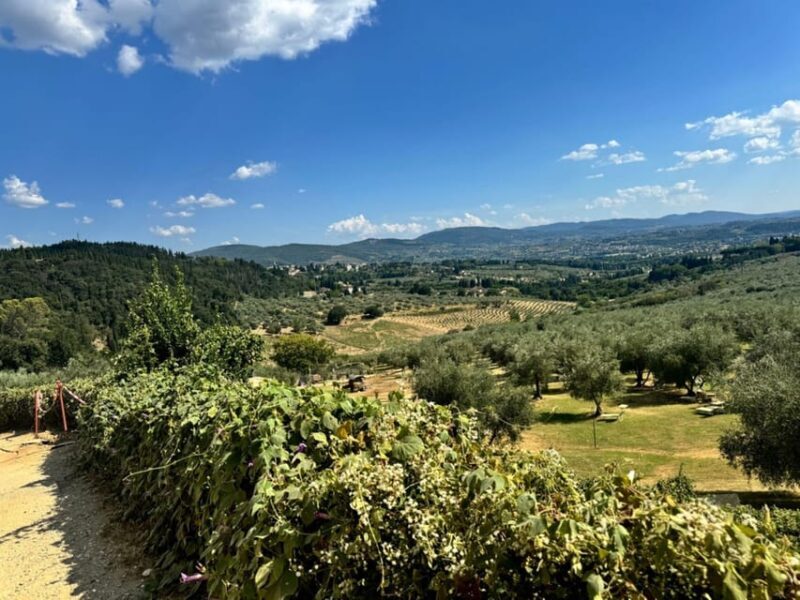 Florence: Fiesole E-Bike Tour With Olive Oil Tasting - Whats Included in the Tour