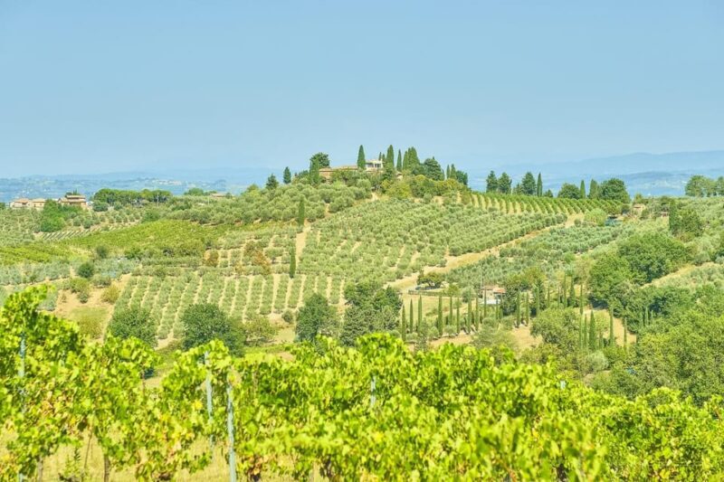 Florence: Fiesole E-Bike Tour With Olive Oil Tasting - Important Information for Participants