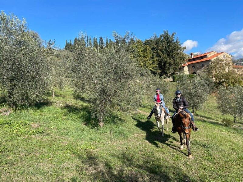 Florence: Horse Ride 3h and Wine Tasting&Lunch at a Castle - Typical Tuscan Lunch