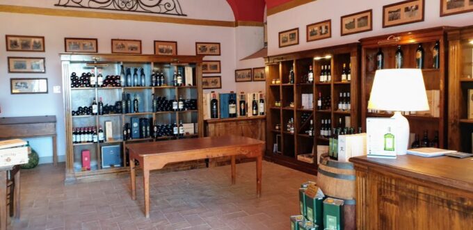 Florence: Horse Ride 3h and Wine Tasting&Lunch at a Castle - Booking and Cancellation