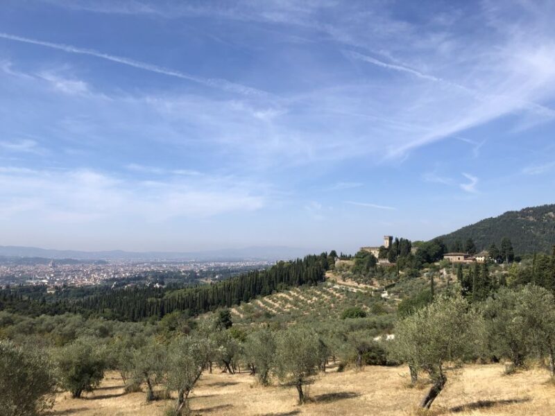 Florence: Local Hiking Tour With Wine and Lunch - Key Points