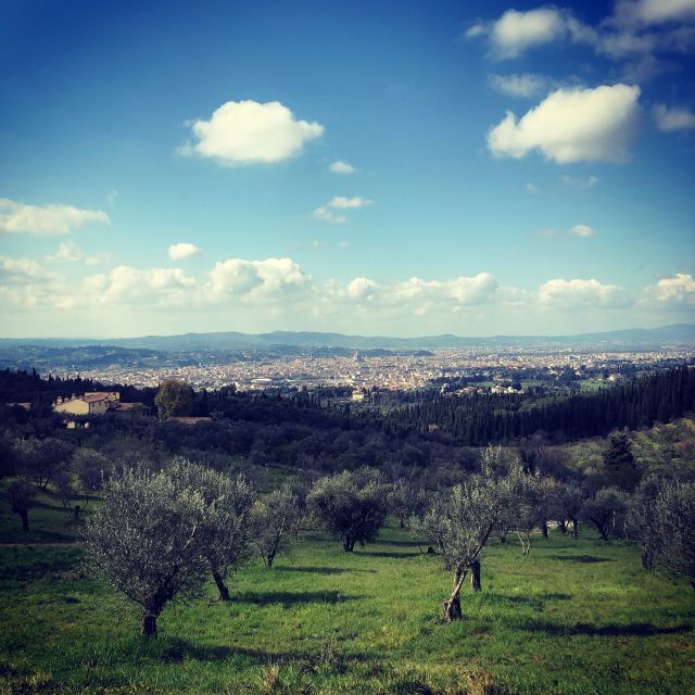 Florence: Local Hiking Tour With Wine and Lunch - Transportation Details