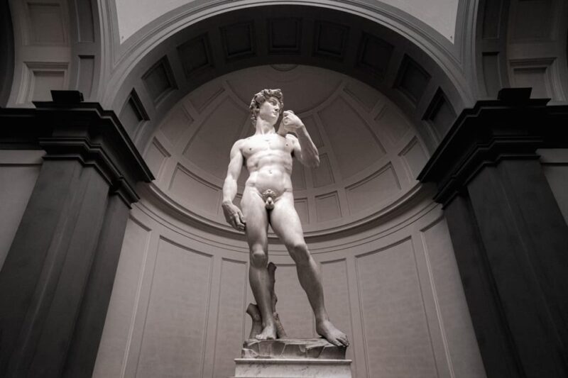 Florence: Michelangelos David Reserved Entry Tickets - Accessibility Features and Services
