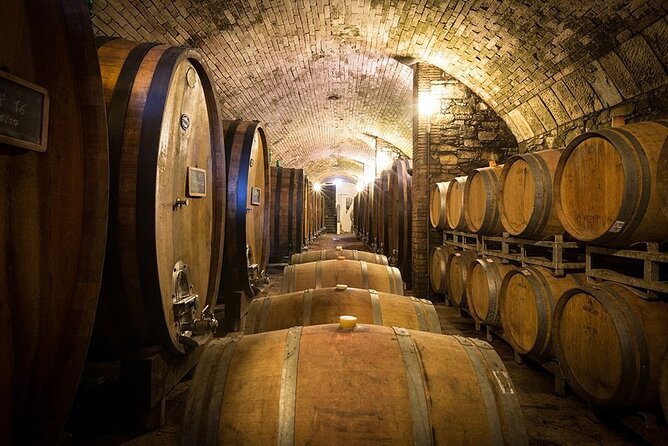 Florence & Pisa Shore Excursion With Chianti Wine Tasting - What to Expect