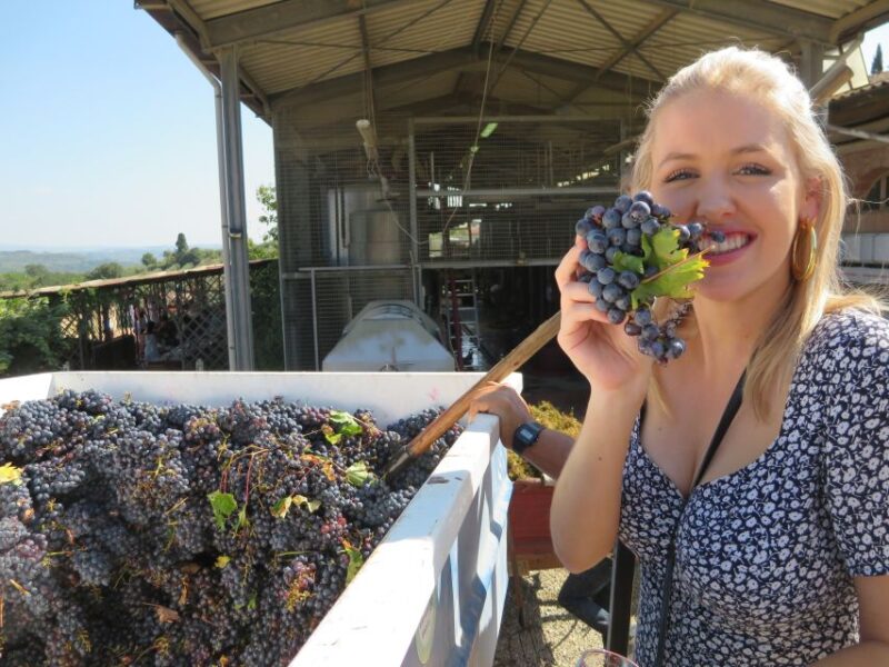 Florence: Pisa & Tuscany - Semi Private Tour - Customer Feedback