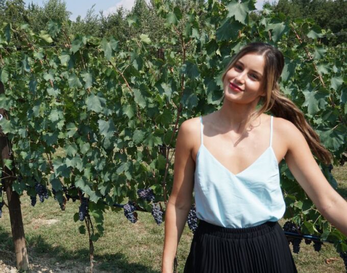 Florence: Pisa & Tuscany - Semi Private Tour - Touring Tuscanys Wineries