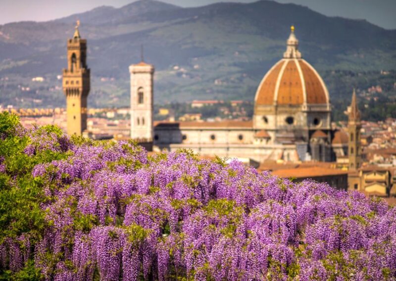 Florence Premium E-Bike Tour + Wine & Gelato Tasting - Key Points