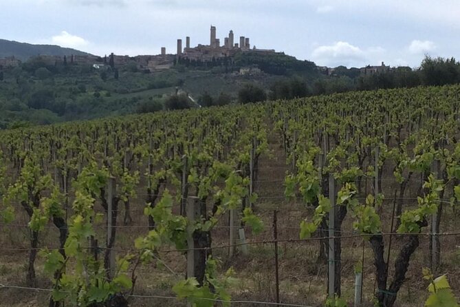 Florence Private Day Trip to Siena and San Gimignano - Lunch and Dining