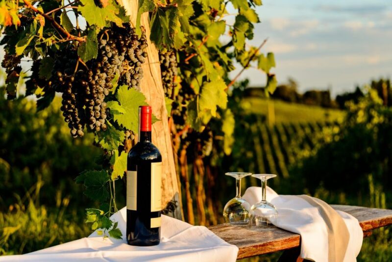 Florence: Private Full Day Tour to Chianti Wine Region - Experience Highlights