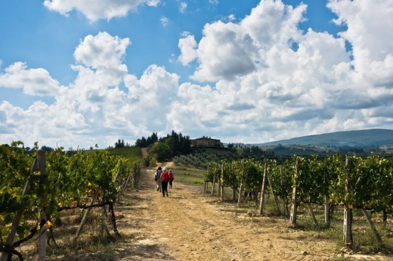 Florence: Private Full Day Tour to Chianti Wine Region - Tour Inclusions
