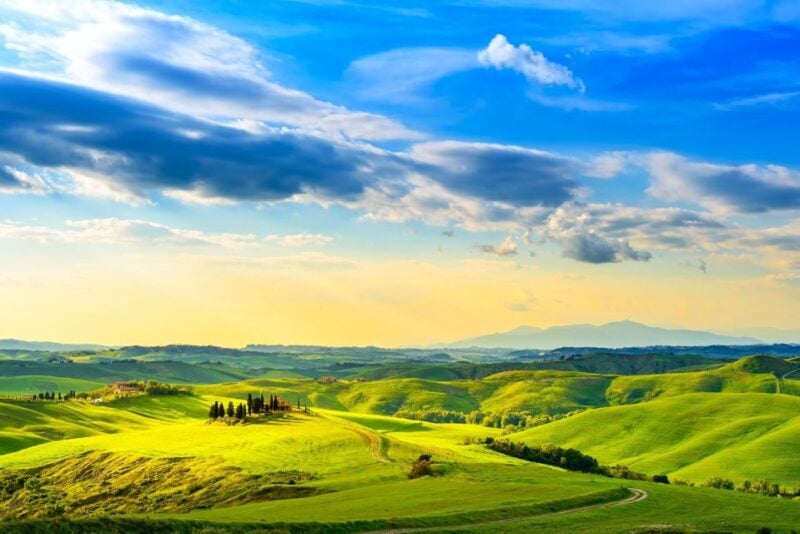 Florence: Private Full Day Tour to Chianti Wine Region - Booking Details