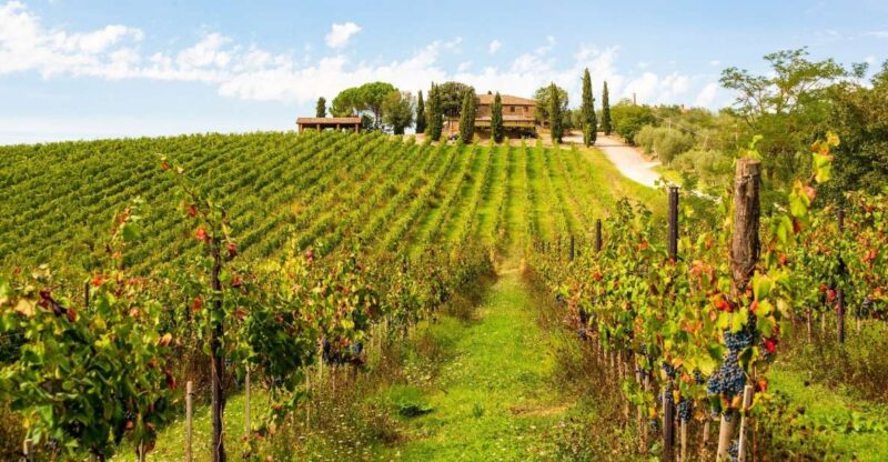 Florence: Private Full Day Tour to Chianti Wine Region - Customizable Itinerary