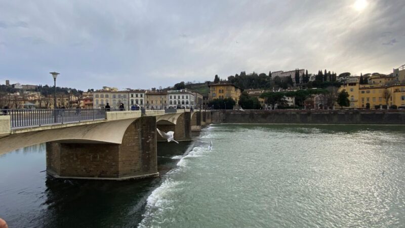 Florence Rooftop & Pisa Shore Excursion From Livorno - Itinerary and Transportation