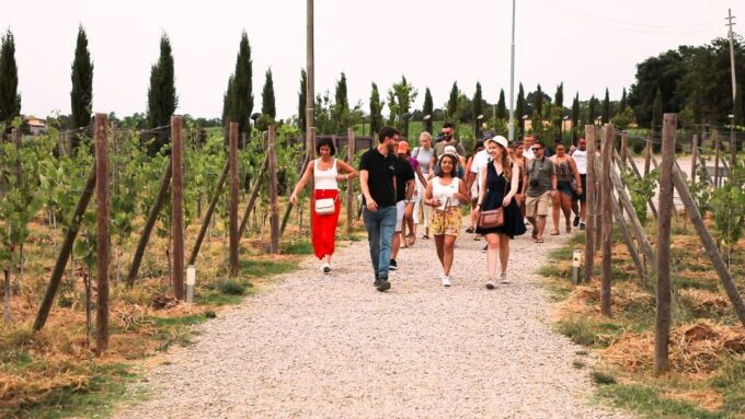 Florence: S. Gimignano, Siena, Chianti & Wine Tasting Lunch - Customer Feedback