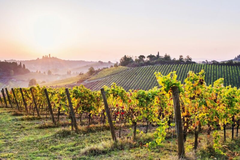 Florence: Siena & San Gimignano Day Trip With Lunch & Wine - Itinerary Details