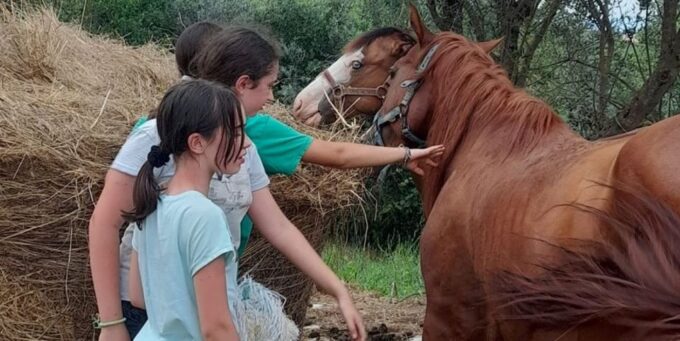 Florence - Sightseeing Tour on Horseback - Preparation and Requirements