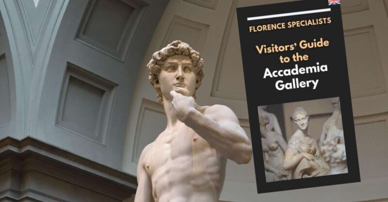 Florence: Timed Entry Ticket to Michelangelos David & Ebook - Customer Reviews and Experiences