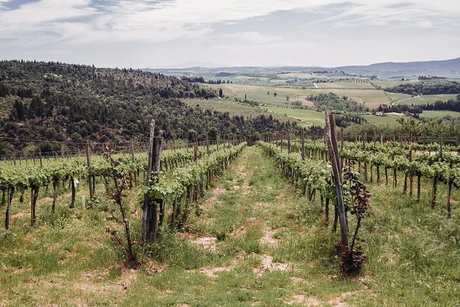 Florence to Tuscany: Chianti, Siena, San Gimignano & Wine +Lunch - Tour Inclusions and Exclusions