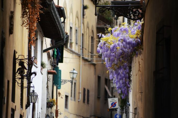 Florence: Traditional Artisan Private Walking Experience - Exploring Oltrarno Neighborhood