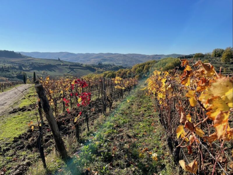 Florence: Tuscany & Chianti Classico Wine & Hike With Lunch - Key Points