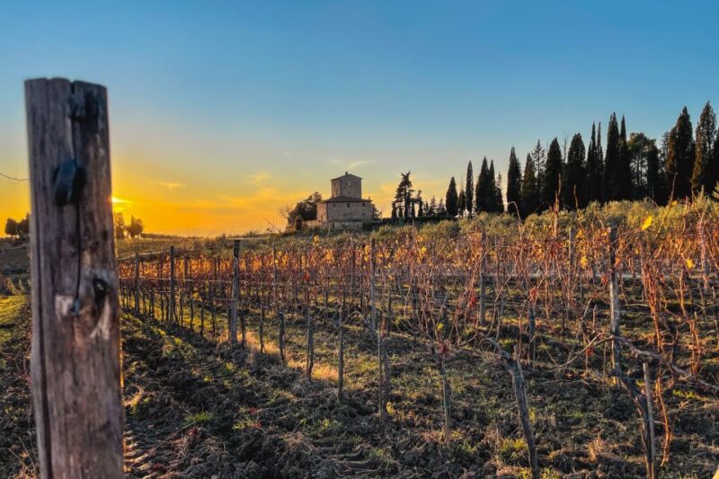 Florence: Tuscany & Chianti Classico Wine & Hike With Lunch - Participant Requirements and Restrictions