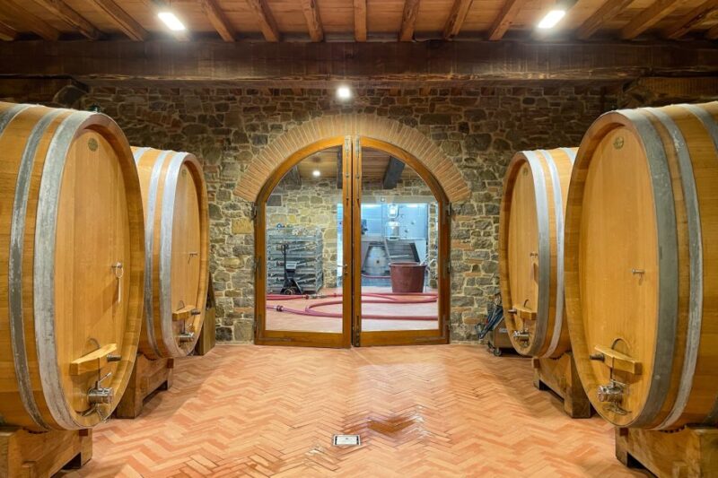 Florence: Tuscany & Chianti Classico Wine & Hike With Lunch - Customer Reviews and Experiences