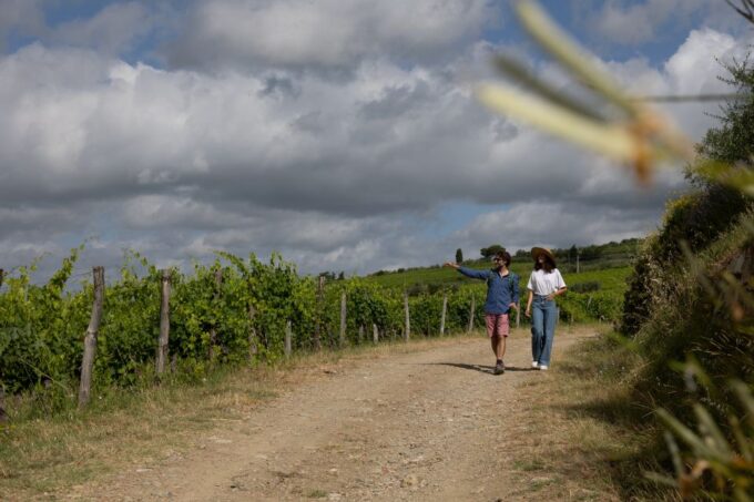 Florence: Tuscany & Chianti Classico Wine & Hike With Lunch - Meeting Local Producers