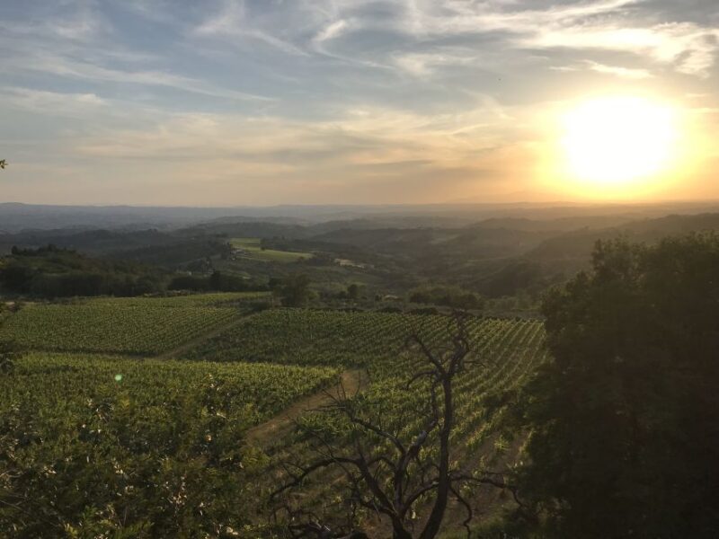 Florence: Tuscany Chianti Winery Private Day-Trip With Lunch - Experience and Learning