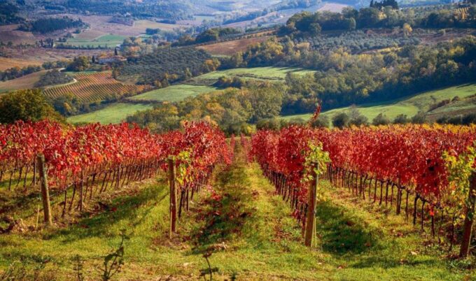 Florence: Tuscany Chianti Winery Private Day-Trip With Lunch - Exploring Medieval Chianti Villages