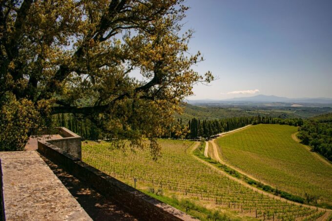 Florence: Tuscany Chianti Winery Private Day-Trip With Lunch - Winery Visit and Tasting
