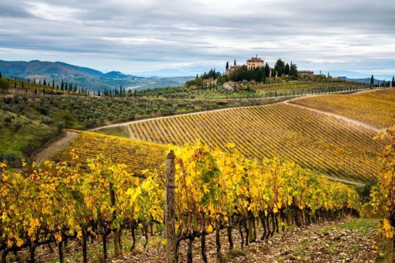 Florence: Tuscany Highlights Bus Tour With Winery Visit - Key Points