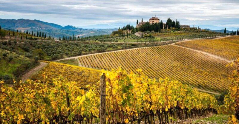 Florence: Tuscany Highlights Bus Tour With Winery Visit - Key Highlights
