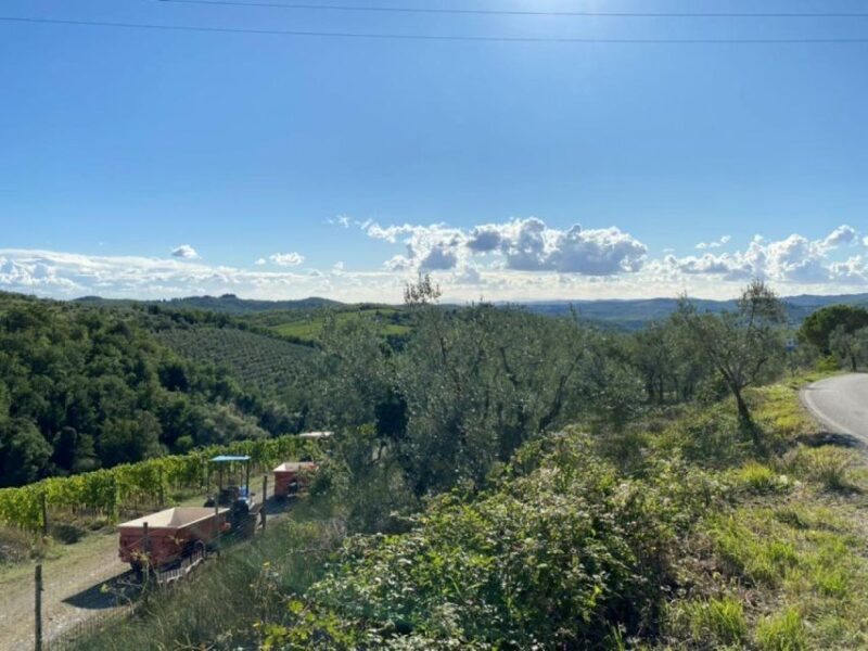 Florence: Tuscany Highlights Bus Tour With Winery Visit - Cancellation Policy