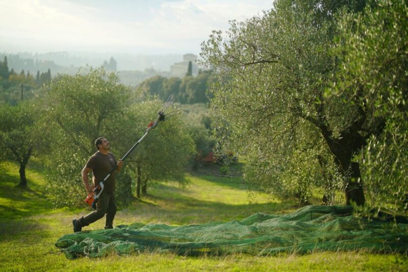 Florence: Tuscany Olive Oil, Coffee & Wine Small Group Tour - Booking Information