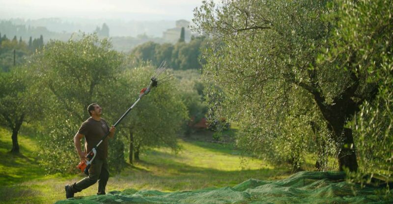 Florence: Tuscany Olive Oil, Coffee & Wine Small Group Tour - Itinerary Highlights