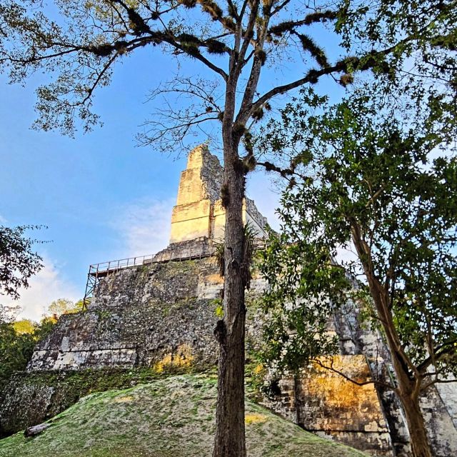 Flores: 1-Day Tikal Tour Private Service From Your Hotel - Inclusions and Amenities