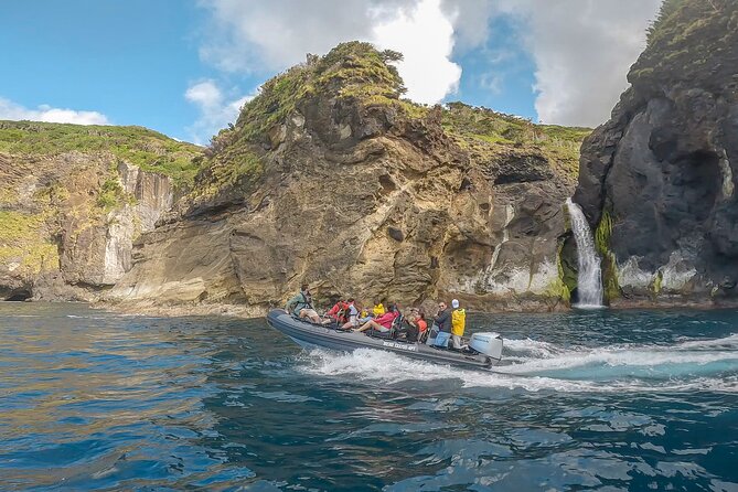 Flores Boat Tours - Customer Feedback