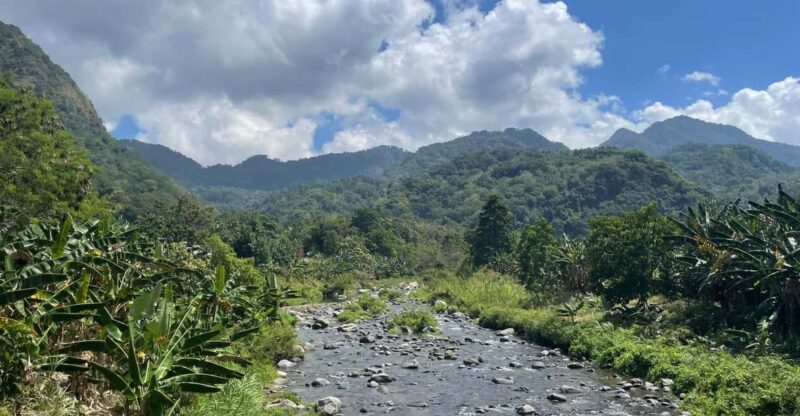 Flores Explorer: a 7-Day Adventure From Labuan B to Labuan B - Key Points