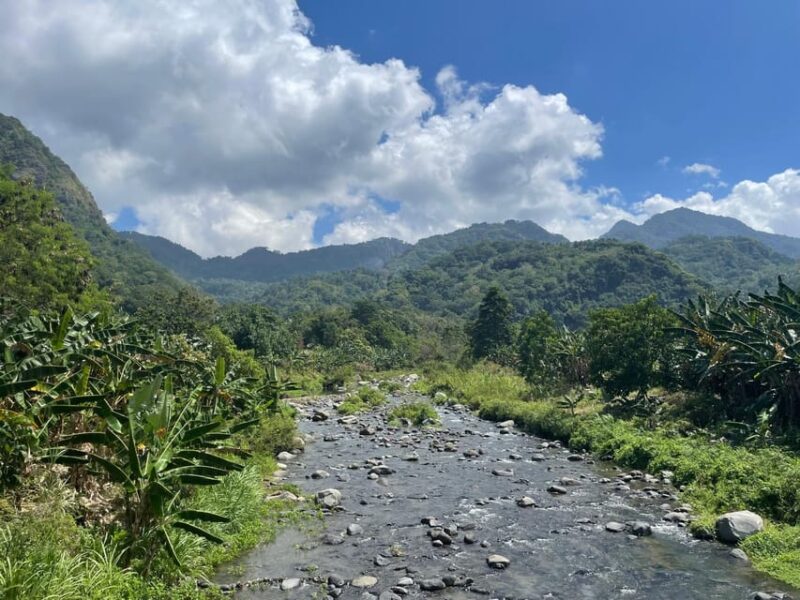 Flores Explorer: a 7-Day Adventure From Labuan B to Labuan B - Amenities and Inclusions