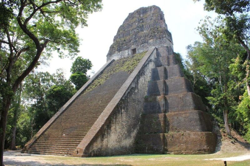 Flores, Petén: Tikal Mayan Ruins Adventure - Vibrant Rainforest Ecosystem