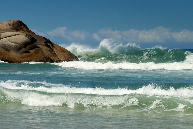 Florianópolis Full Day City Tour - Scenic Beaches and Landmarks