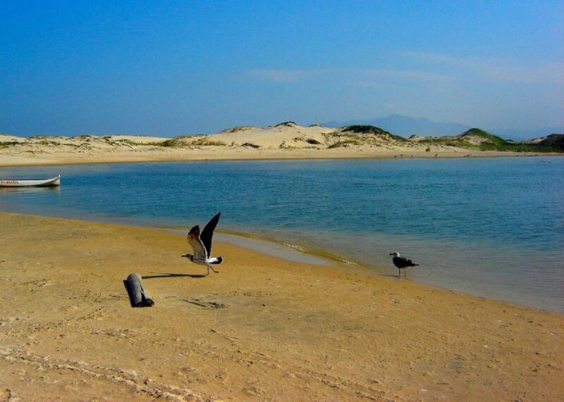 Florianópolis: Guarda Do Embaú Day Trip With Pickup - Tour Highlights