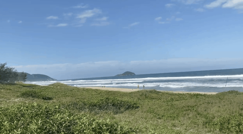 Florianópolis: Horseback Riding With a Guided Tour - Variety of Horse Options