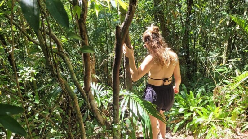 Florianopolis: Lagoinha Do Leste Natural Park Hike - Capturing Fantastic Photographs
