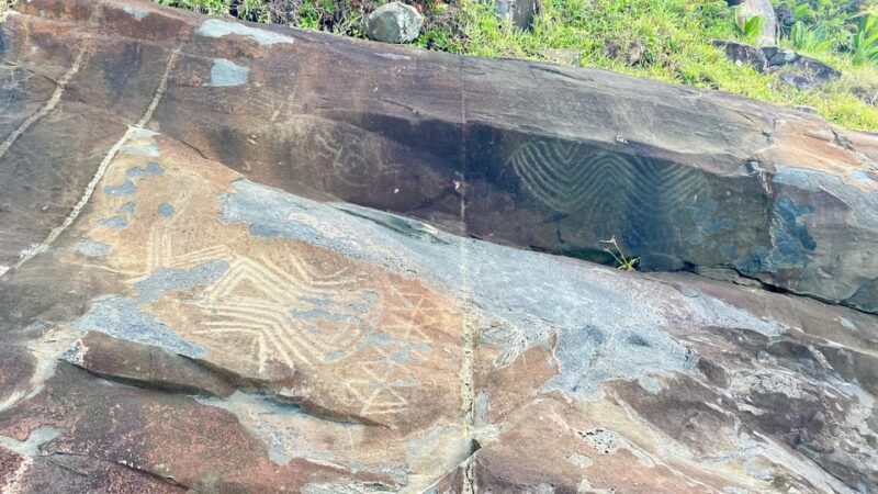 Florianópolis: Trail in Santinho With Ancient Art. - Pricing and Reservations