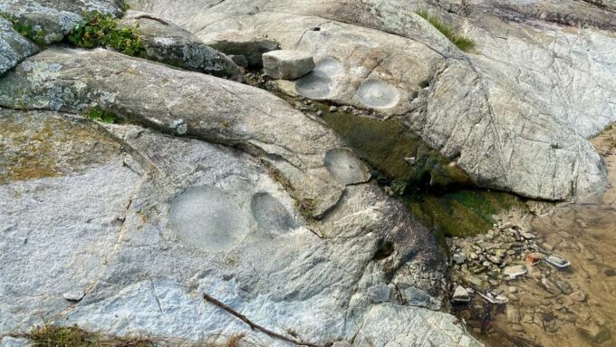 Florianópolis: Trail in Santinho With Ancient Art. - What to Bring