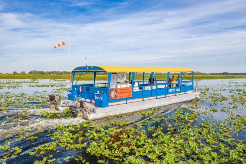 Florida: 90 Minute Everglades Cruise - Photographic Opportunities